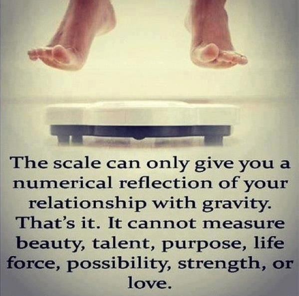 the scale